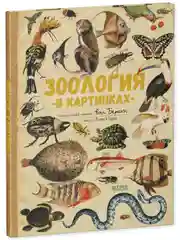 Удивительные энциклопедии. Зоология в картинках