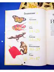 Удивительные энциклопедии. Зоология в картинках