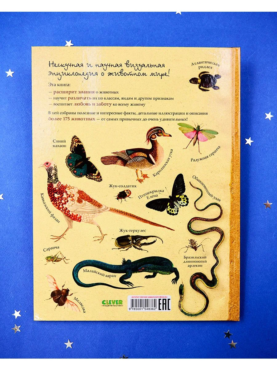 Удивительные энциклопедии. Зоология в картинках