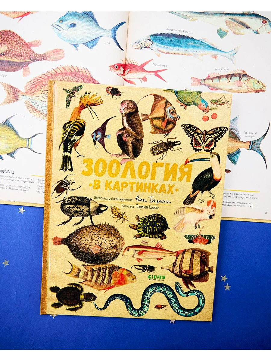 Удивительные энциклопедии. Зоология в картинках