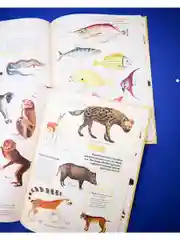 Удивительные энциклопедии. Зоология в картинках