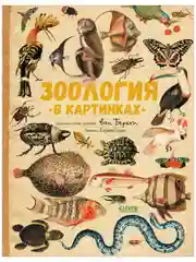 Удивительные энциклопедии. Зоология в картинках