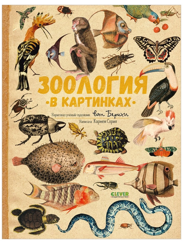 Удивительные энциклопедии. Зоология в картинках