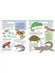 Большая детская энциклопедия