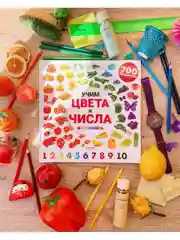 Найди и покажи. Фотокниги. Учим цвета и числа. Фотокнига