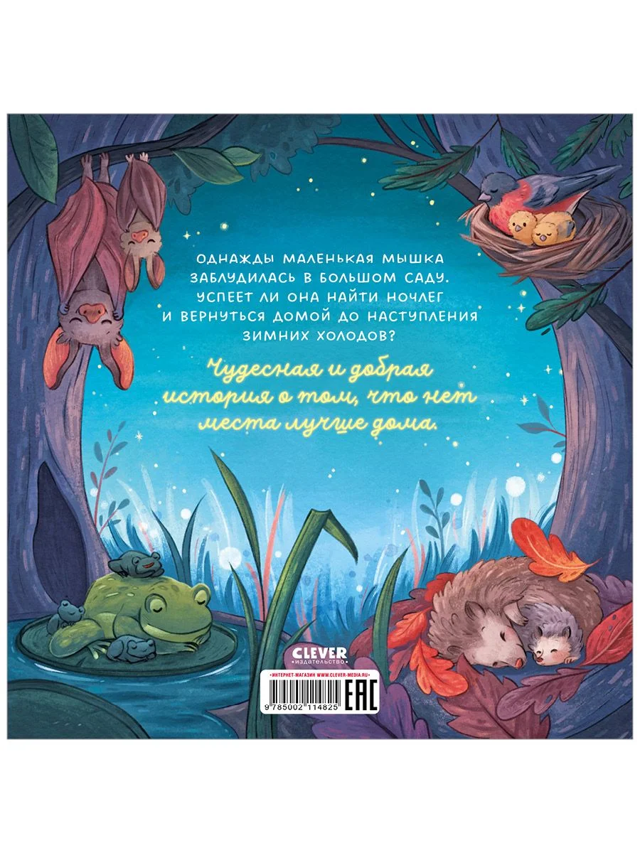 Книжки-картинки. Сладких снов, малышка мышка!