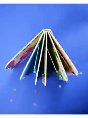 Книжка с окошками. Цвета