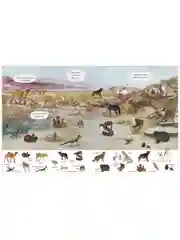 Найди и покажи. Удивительный мир животных