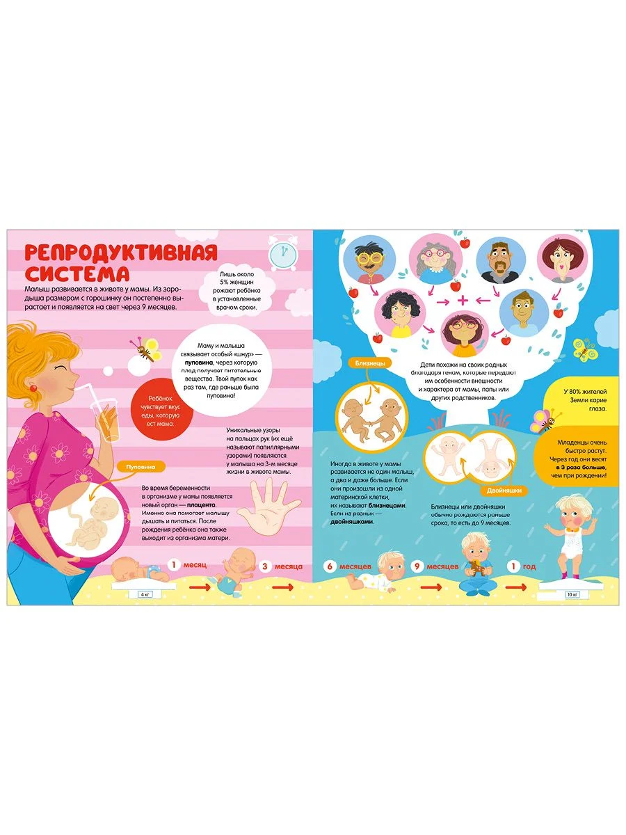 Энциклопедии. 100 удивительных фактов о теле человека