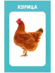 Развивающие карточки для малышей. 100 животных