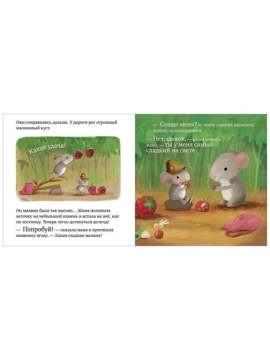 Книжки-картонки. Самый лучший мышонок на свете