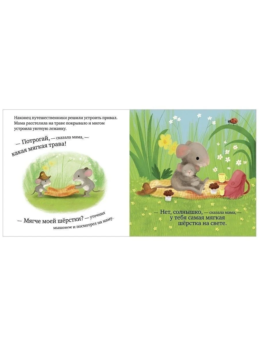 Книжки-картонки. Самый лучший мышонок на свете
