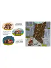 Книжки-картинки. Куда исчезла речка?