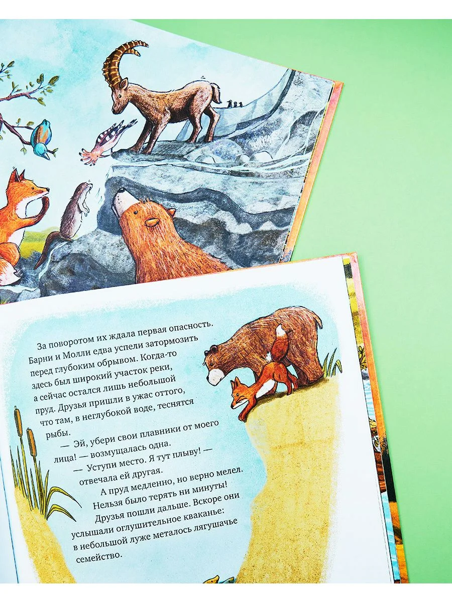Книжки-картинки. Куда исчезла речка?