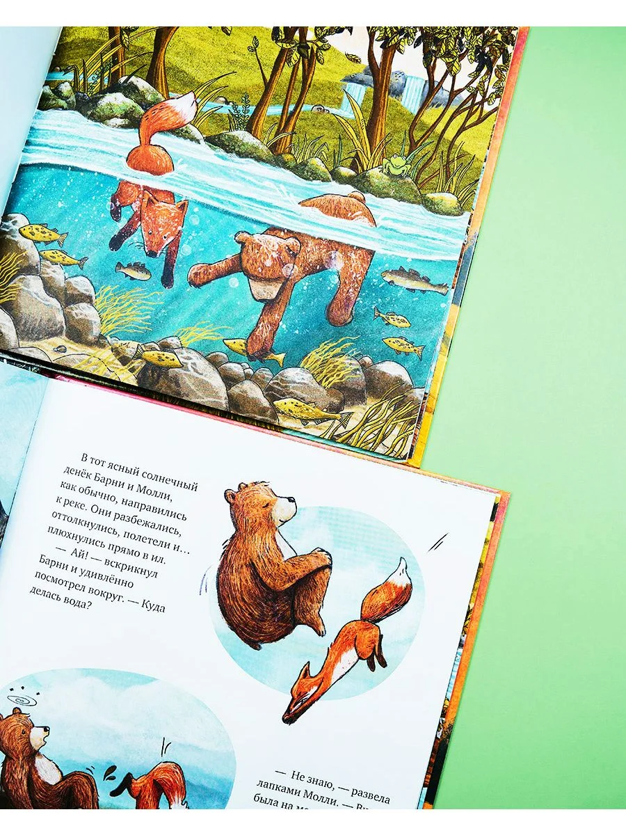 Книжки-картинки. Куда исчезла речка?