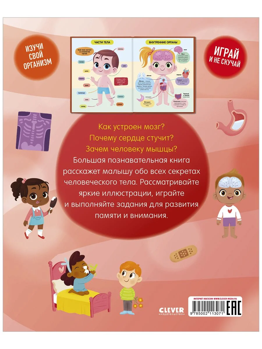 Удивительные энциклопедии. Тело человека (мягкая обложка)