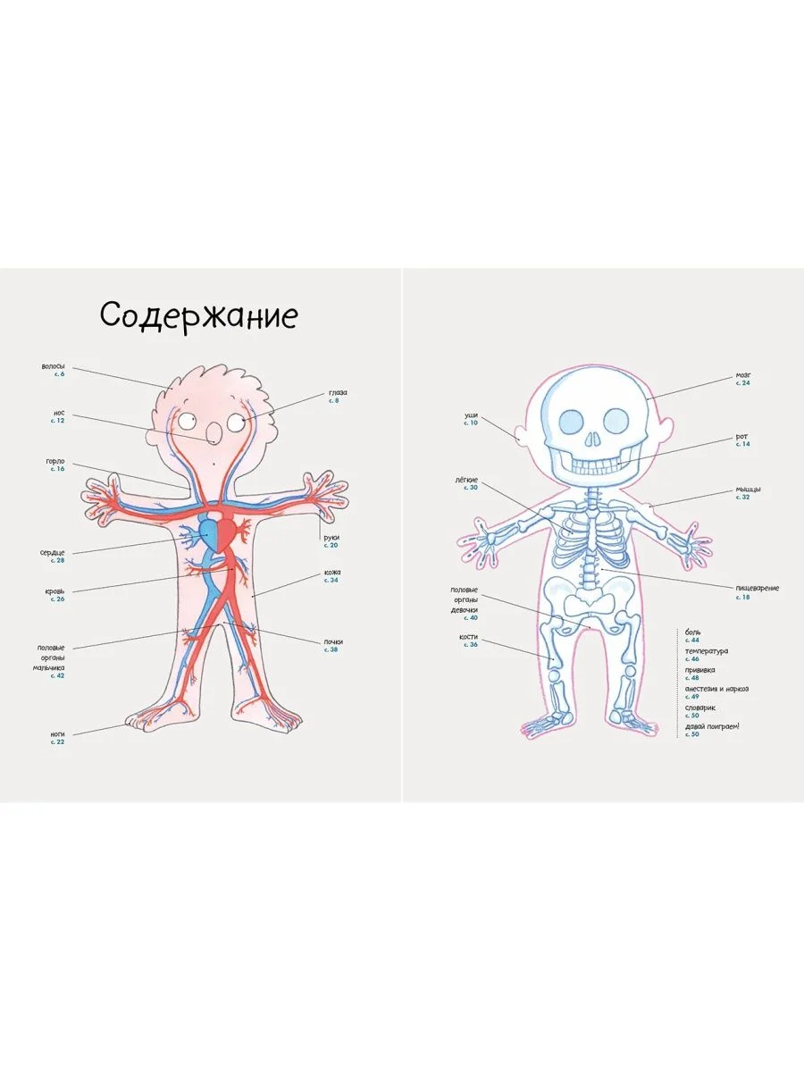 Удивительные энциклопедии. Секреты тела человека