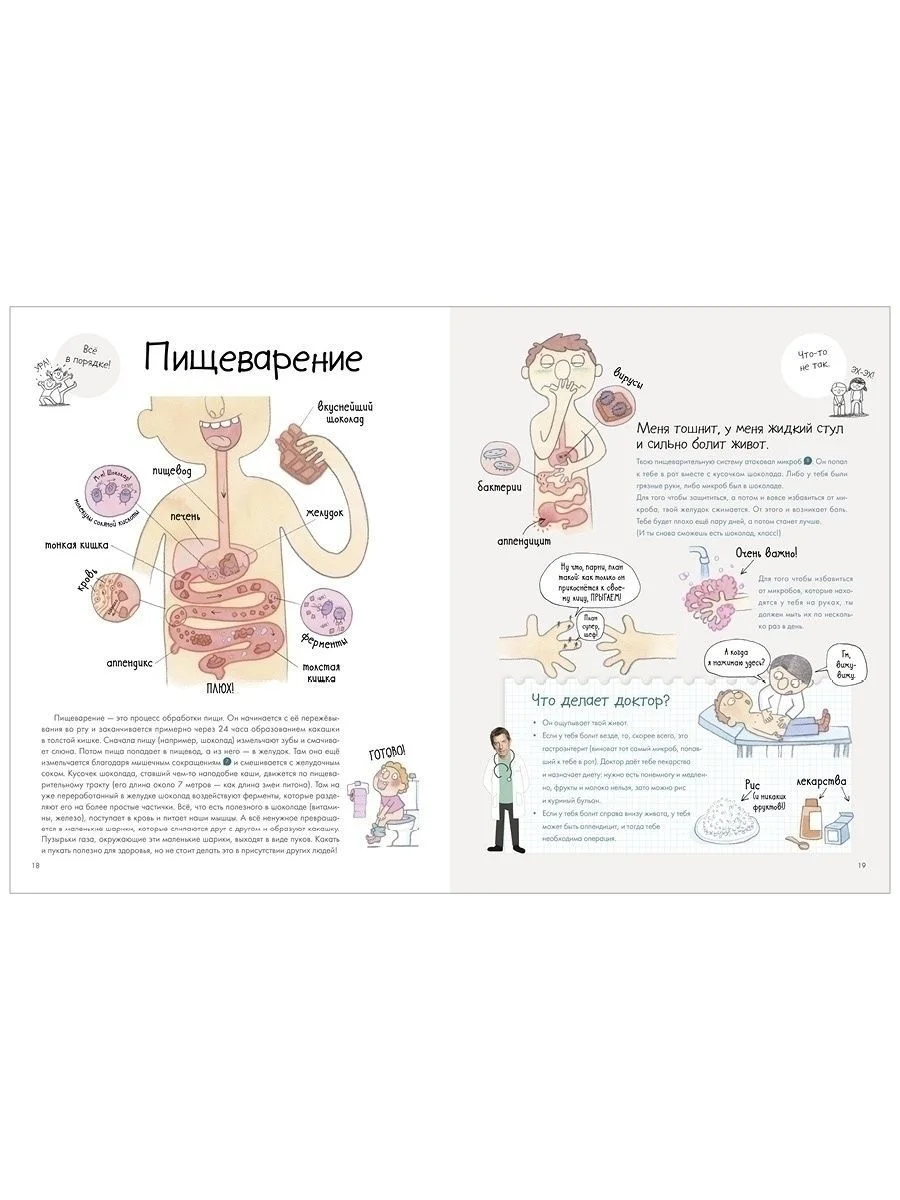 Удивительные энциклопедии. Секреты тела человека