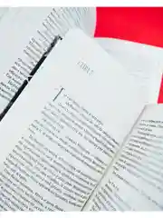 Девочка с медвежьим сердцем. Романы Фрэнсис Хардинг