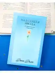 Падающая Звезда