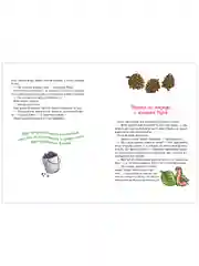 Сонные сказки про животных для чтения перед сном