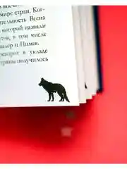 Дом грозы