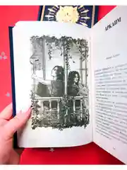 Дом грозы