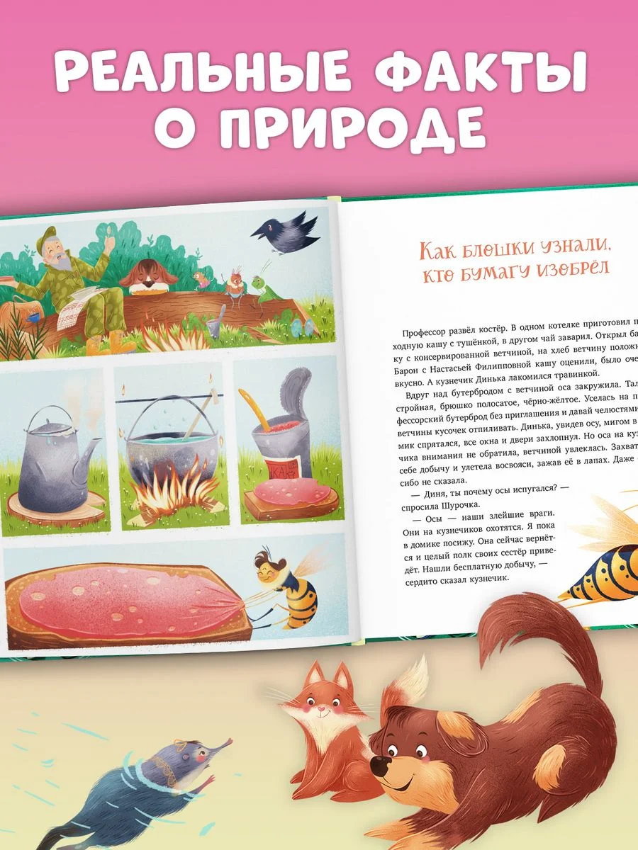 Как Шурочка и Мурочка искали выхухоль (мягкая обложка)