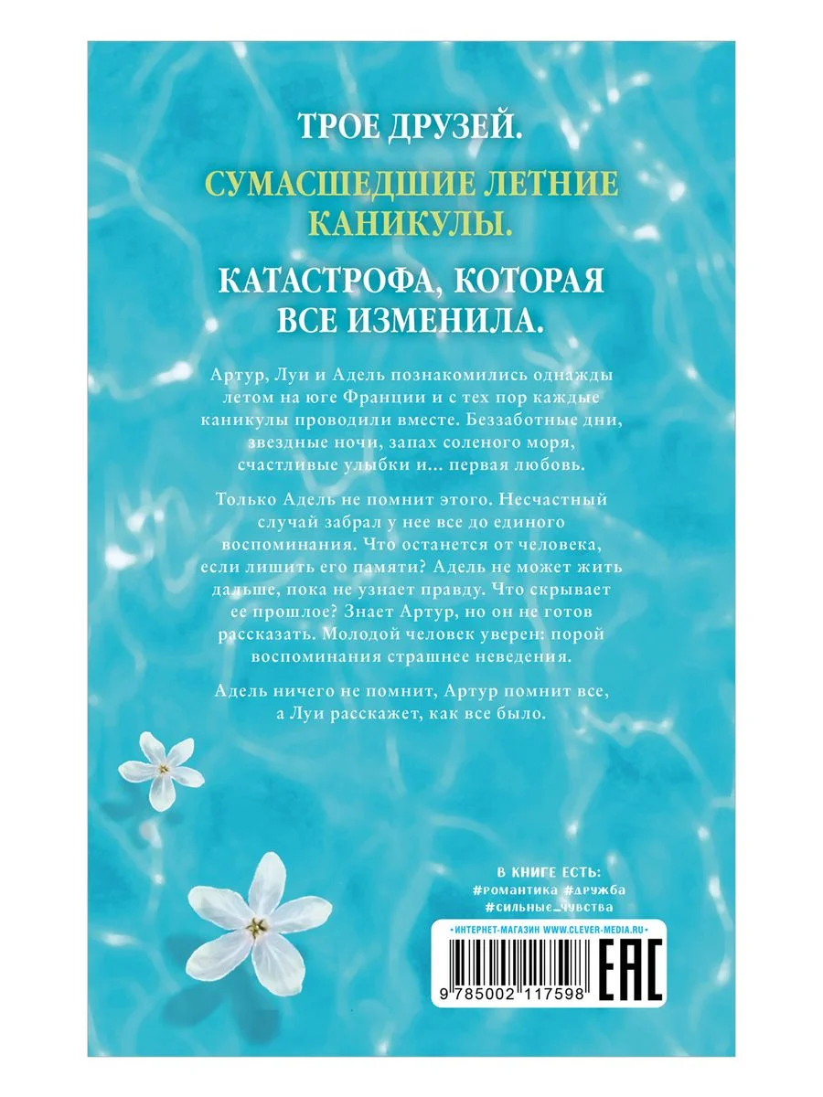 Артур, Луи и Адель. Подарочное издание