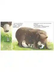 Книжки-картинки (мягкая обложка). Я не ворчунья!