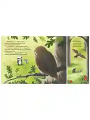 Книжки-картинки (мягкая обложка). Я не ворчунья!
