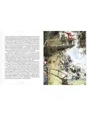В гостях у гномов и другие истории