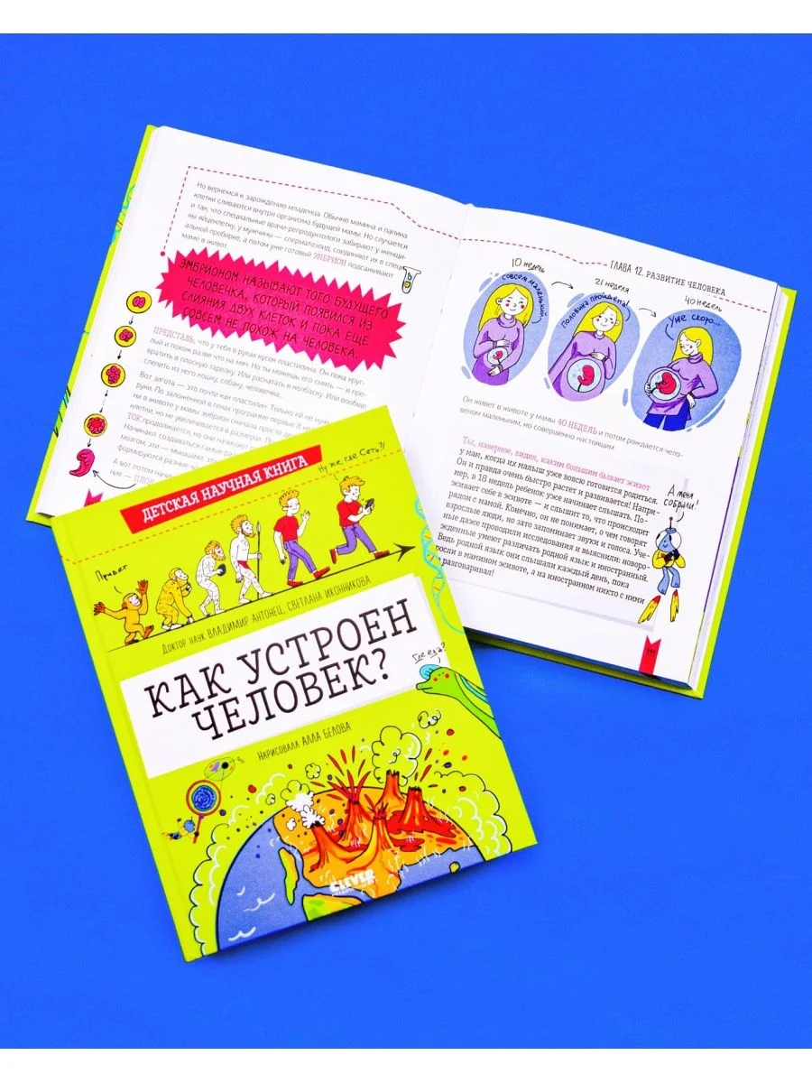 Детская научная книга. Как устроен человек?