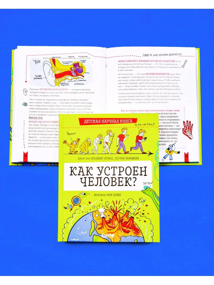 Детская научная книга. Как устроен человек?