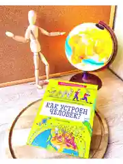 Детская научная книга. Как устроен человек?