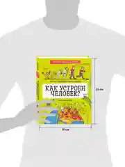 Детская научная книга. Как устроен человек?