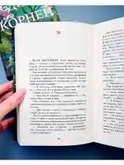 Дом корней и руин