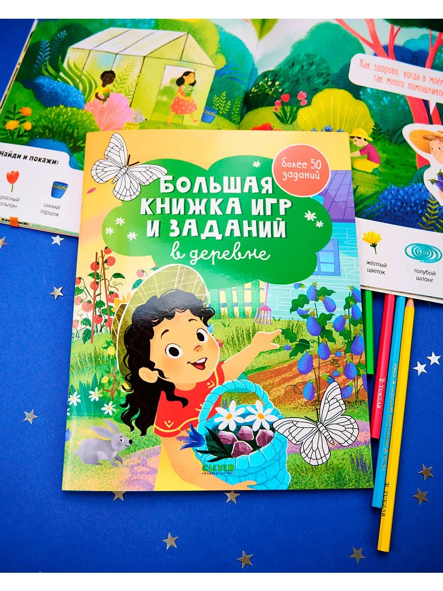 Большая книжка игр и заданий. В деревне