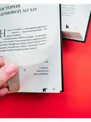 Романы Фрэнсис Хардинг. Королевство запретных книг