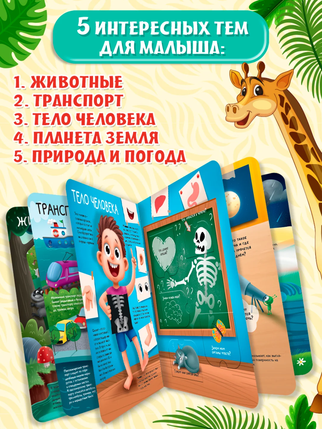 Книга с окошками картонная для детей "Моя первая энциклопедия" 235х315 мм. Проф-Пресс