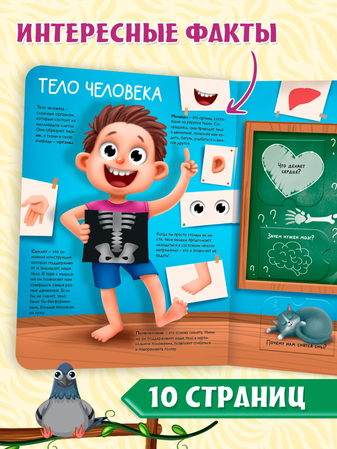 Книга с окошками картонная для детей "Моя первая энциклопедия" 235х315 мм. Проф-Пресс