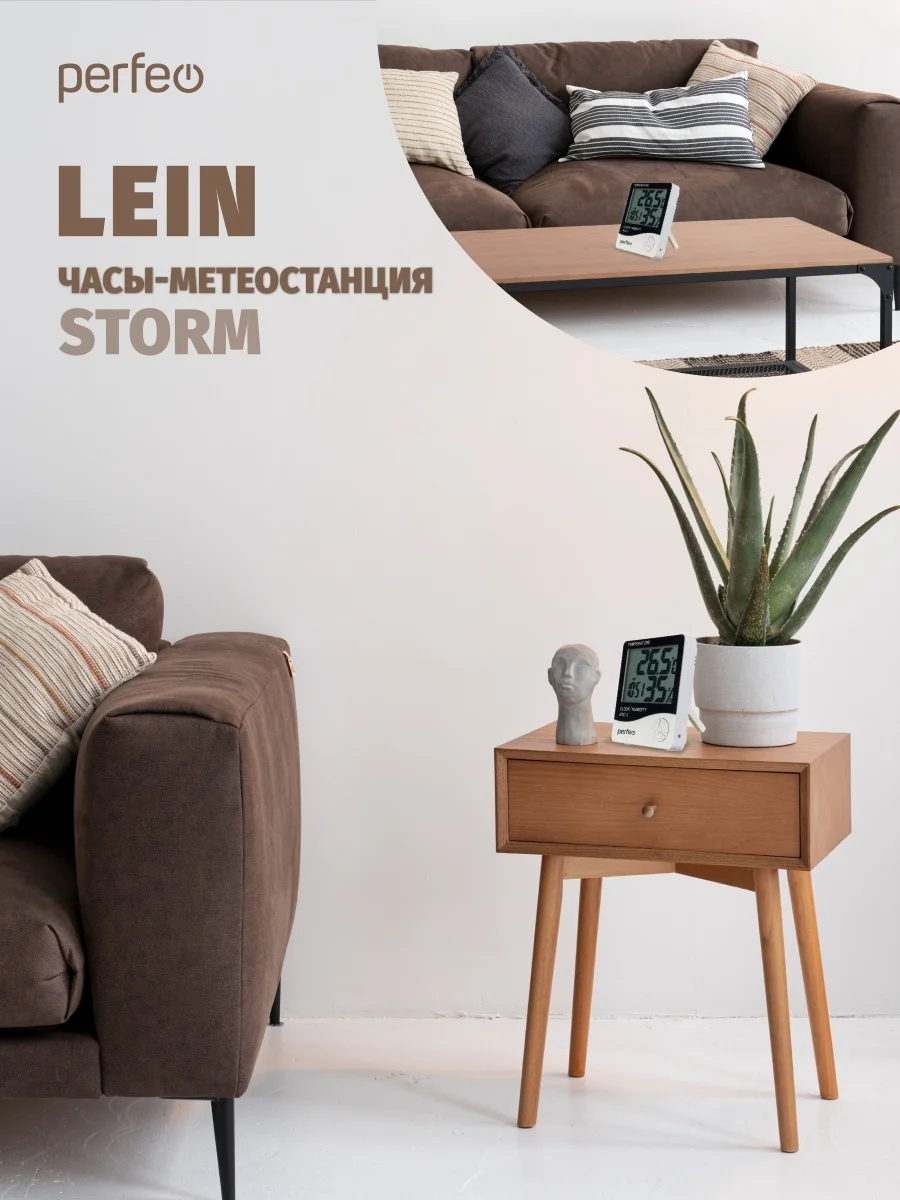 Часы-метеостанция Perfeo "Lein"