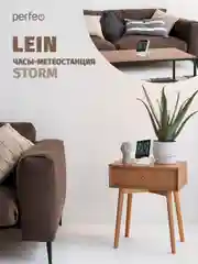 Часы-метеостанция Perfeo "Lein"