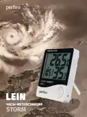 Часы-метеостанция Perfeo "Lein"