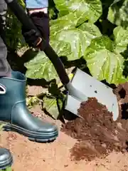 Лопата штыковая Plantic Terra Pro 11002-01, 121 см