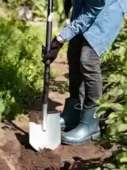 Лопата штыковая Plantic Terra Pro 11002-01, 121 см