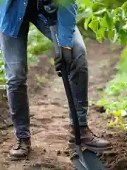 Лопата штыковая Plantic Terra Pro 11002-01, 121 см