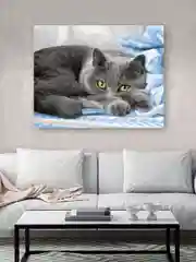 Милые глазки кошки" Картина по номерам на холсте 40х50 с подрамником "Hobby Paint"