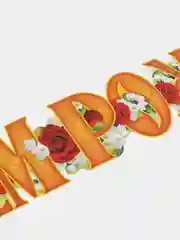 Гирлянда с плакатом ДНЕМ РОЖДЕНИЯ!!!