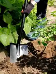 Лопата штыковая Plantic Terra 11005-01, 116 см